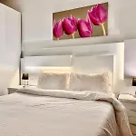 Modern Shared - St Julian's